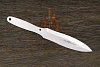 Метательный нож «Луч-С» - фото №2